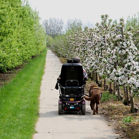 Fruitbedrijf Stek Villa Kedichem Buitenkant foto