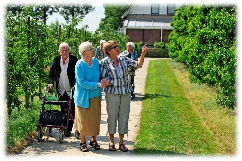 Fruitbedrijf Stek Villa Kedichem Buitenkant foto