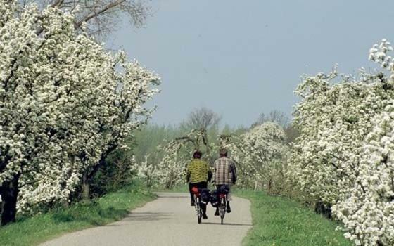 Fruitbedrijf Stek Villa Kedichem Buitenkant foto
